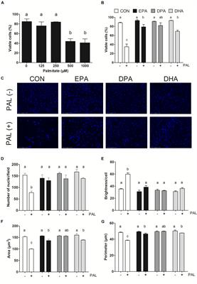 Omega-3 Polyunsaturated Fatty Acids Mitigate Palmitate-Induced Impairments in Skeletal Muscle Cell Viability and Differentiation